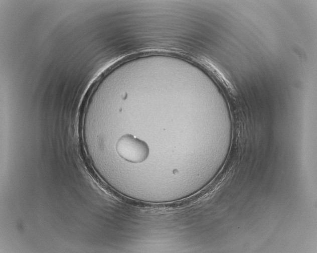 X0000115190884200911181446