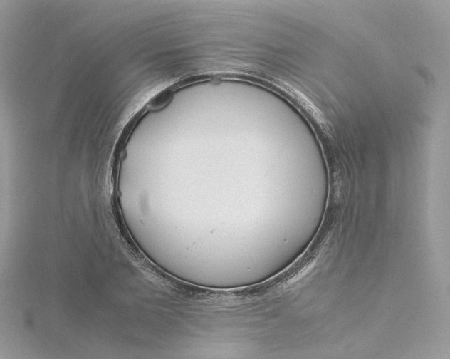 X0000115190885200911181446