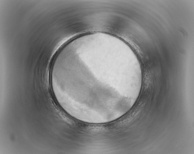 X0000115190886200911181446