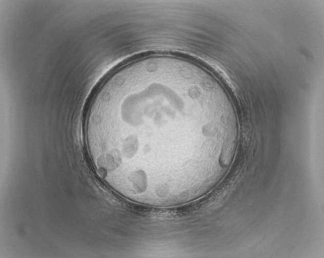 X0000115190887200911181446