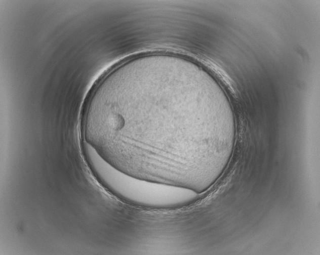 X0000115190888200911181446