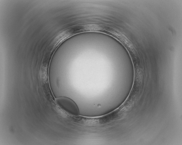 X0000115190889200911181446