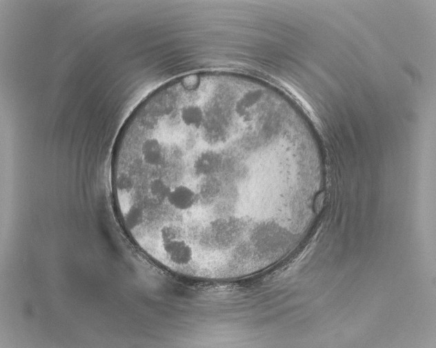 X0000115190891200911181446