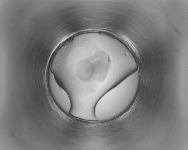 X0000115190892200911181446