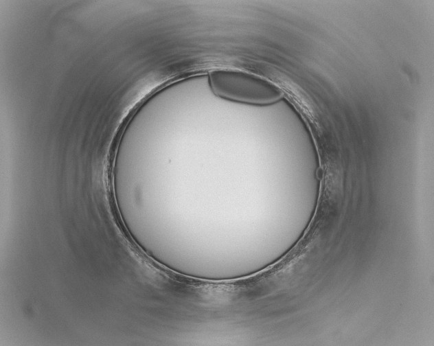 X0000115190893200911181446