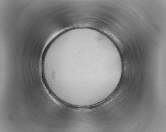 X0000115190894200911181446