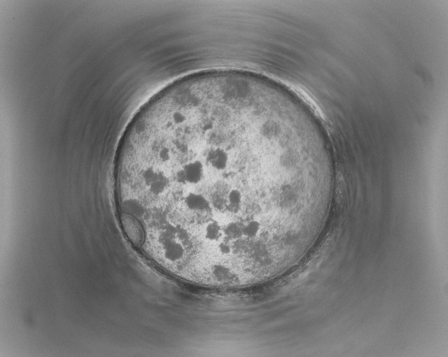 X0000115190895200911181446