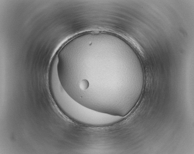 X0000115190896200911181446