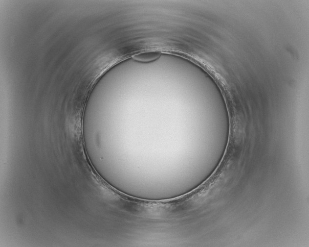 X0000115190897200911181446