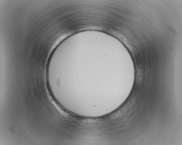 X0000115190898200911181446