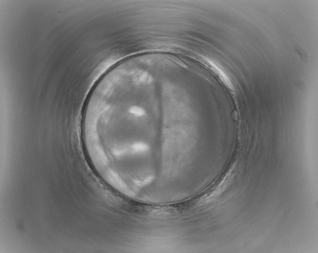 X0000115190899200911181445