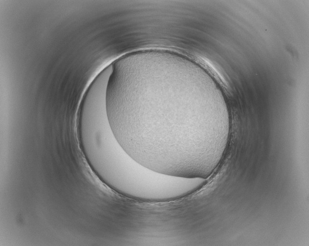 X0000115190900200911181445