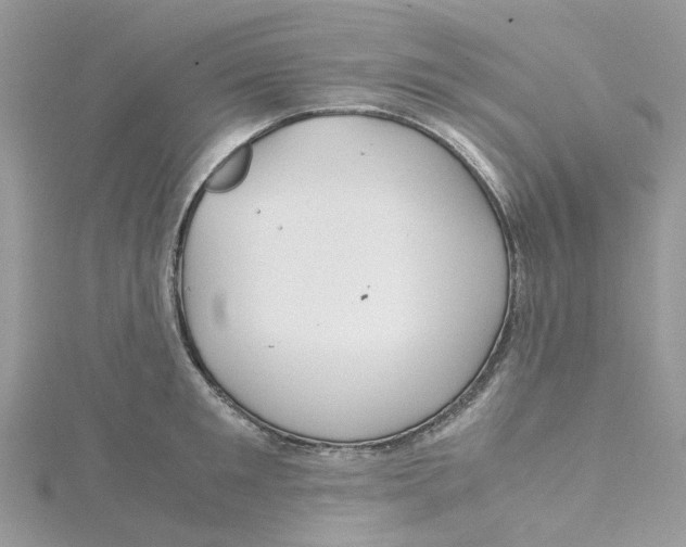 X0000115190901200911181445