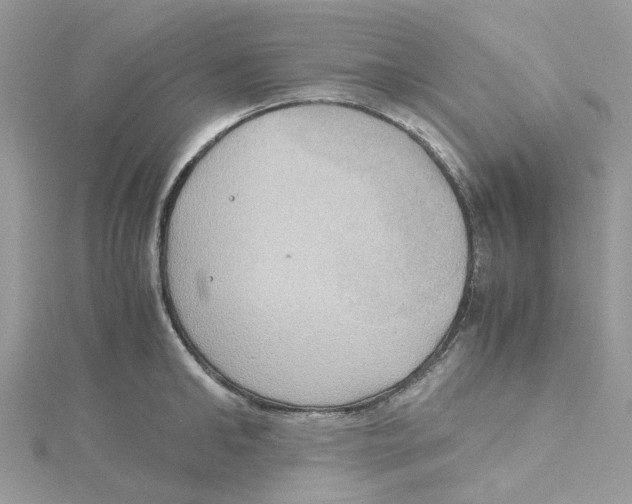 X0000115190902200911181445