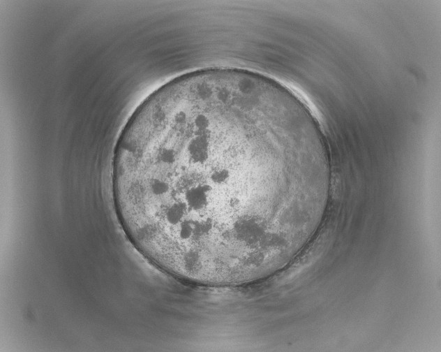 X0000115190903200911181445