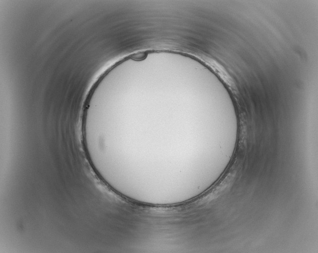 X0000115190904200911181445