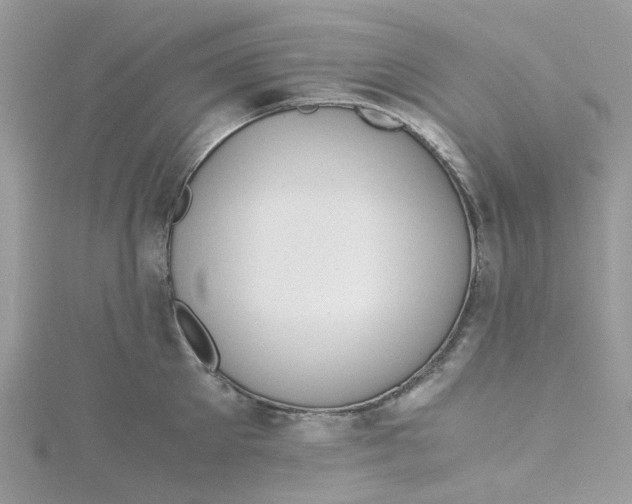 X0000115190905200911181445