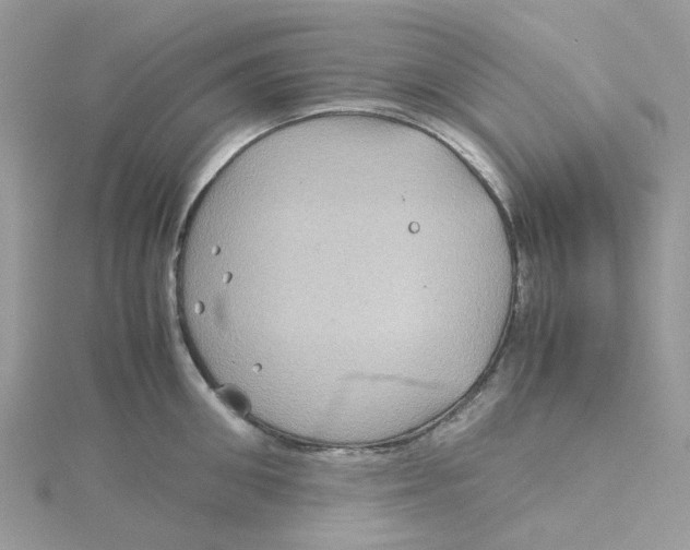 X0000115190906200911181445