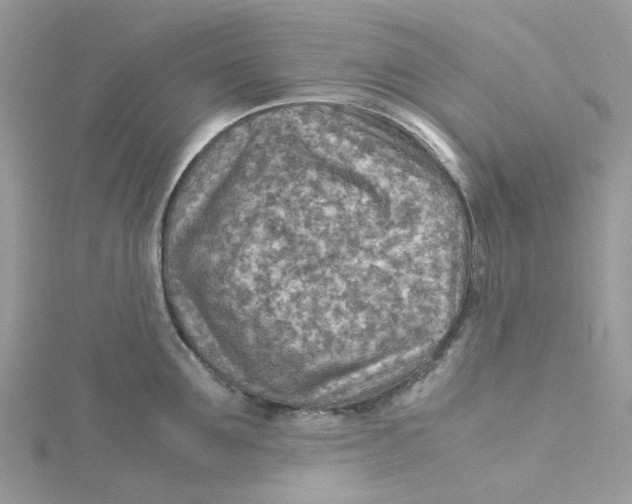 X0000115190907200911181445