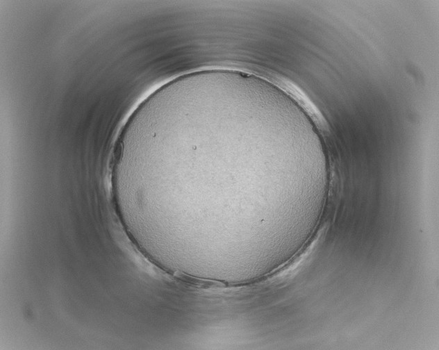 X0000115190908200911181445