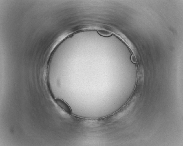 X0000115190909200911181445