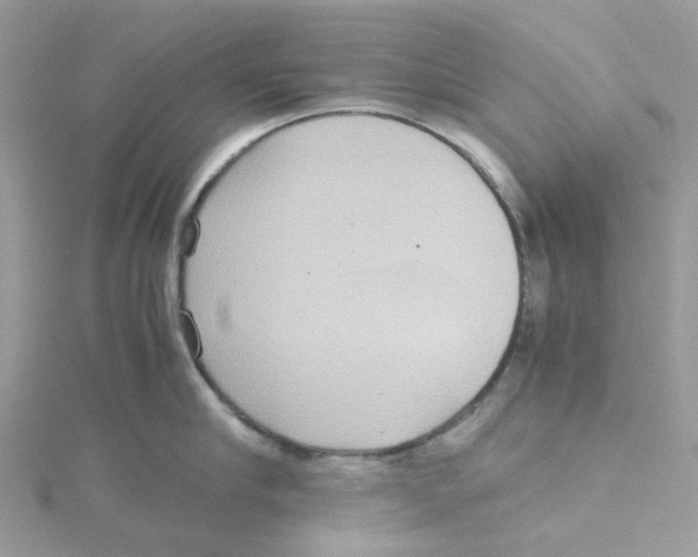 X0000115190910200911181445