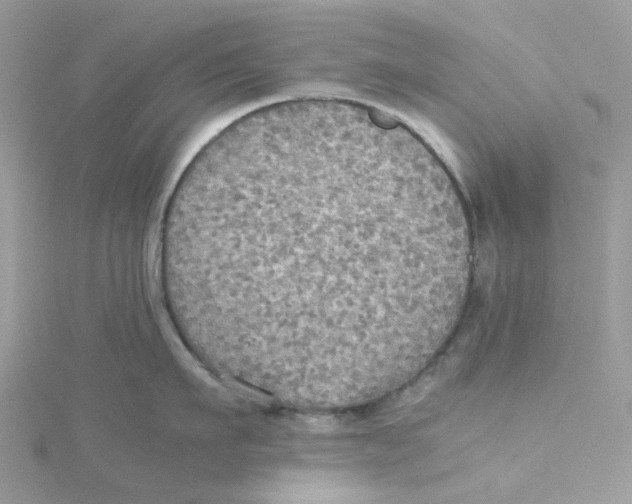 X0000115190911200911181445