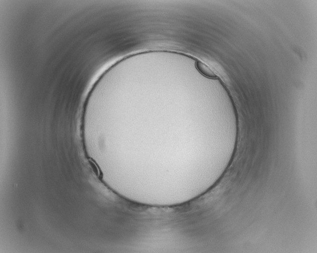 X0000115190912200911181445