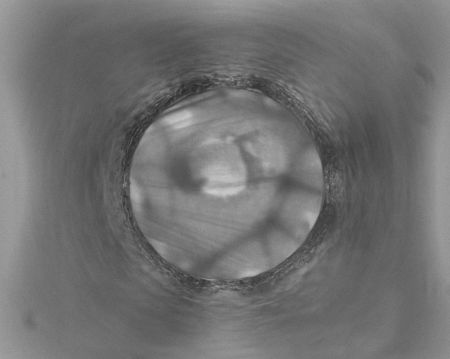 X0000115190913200911181445