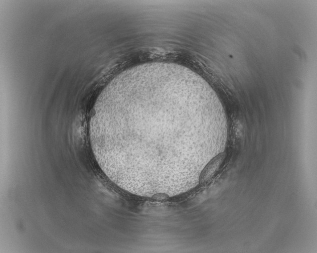 X0000115190914200911181445