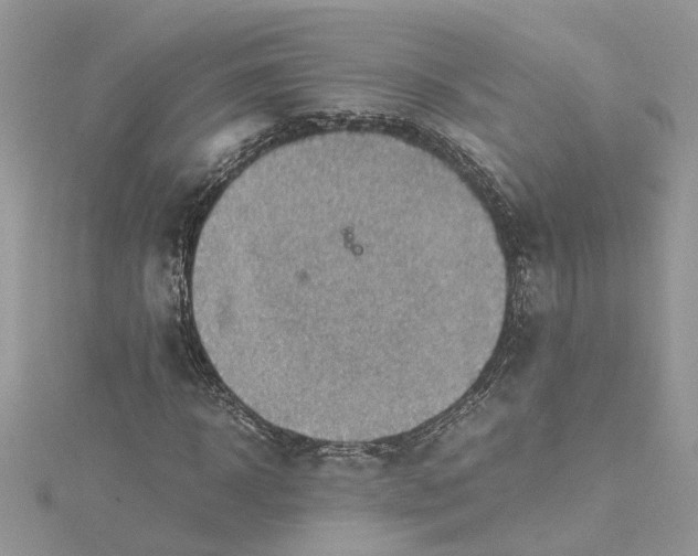 X0000115190918200911181445