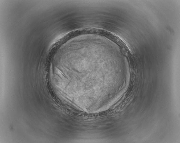 X0000115190919200911181445