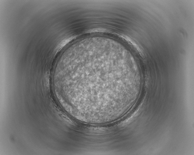 X0000115190921200911181445