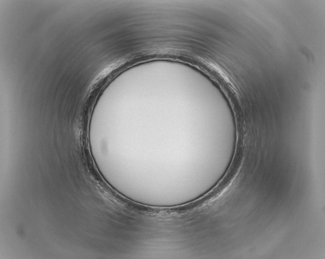 X0000115190922200911181445