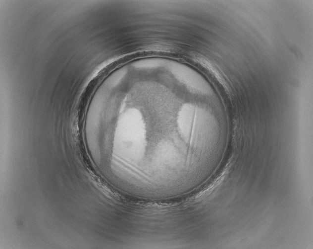 X0000115190923200911181445