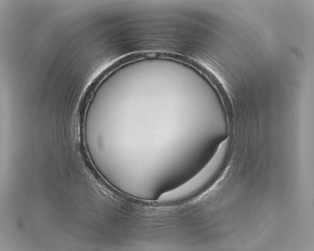 X0000115190925200911181445