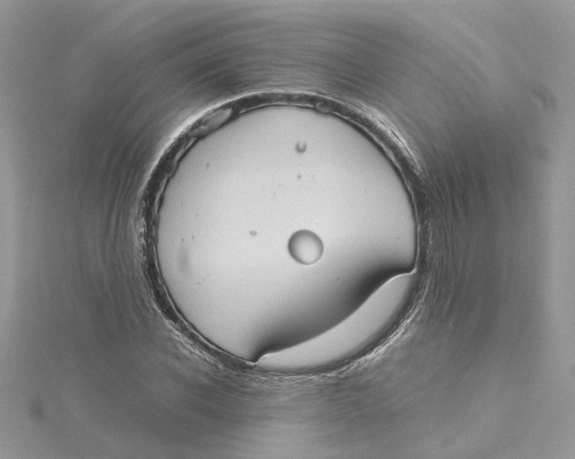 X0000115190926200911181445