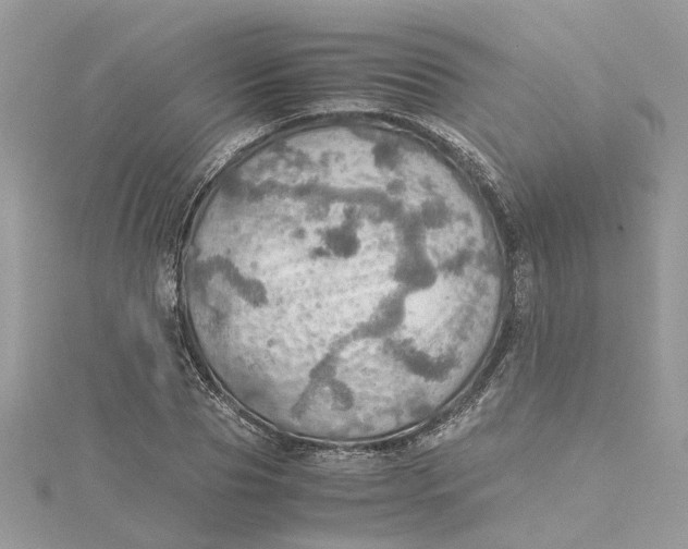 X0000115190929200911181445