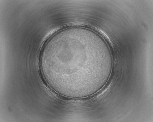 X0000115190930200911181445