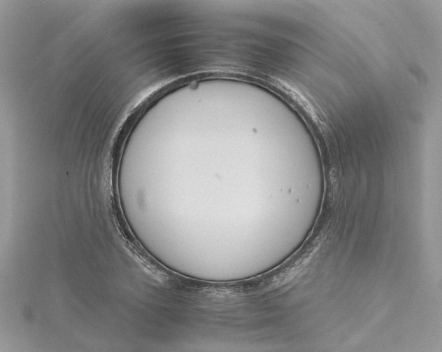 X0000115190931200911181445