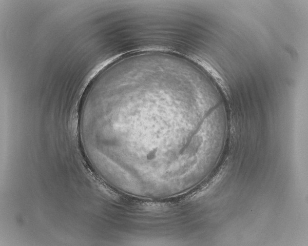 X0000115190933200911181445