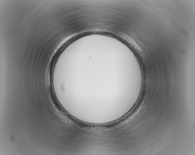 X0000115190934200911181445