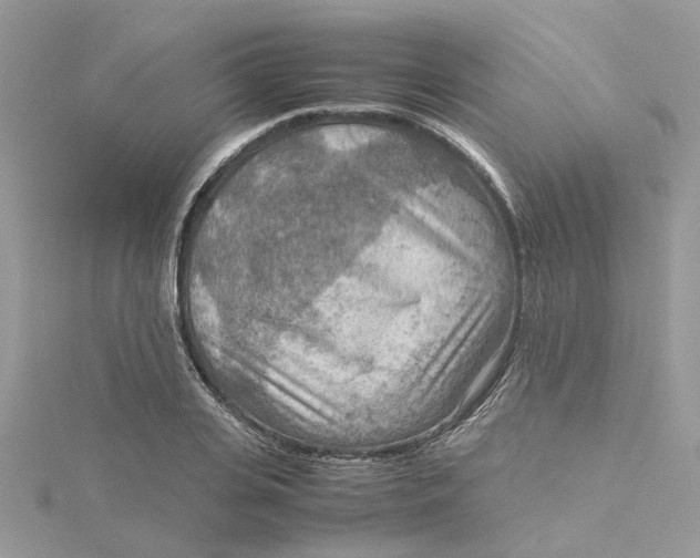 X0000115190935200911181445