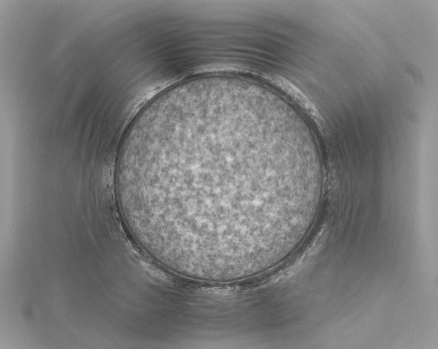 X0000115190937200911181445