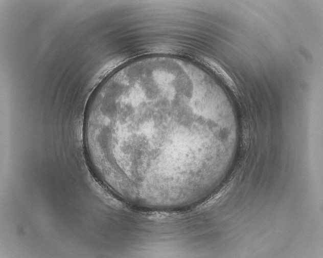 X0000115190938200911181445