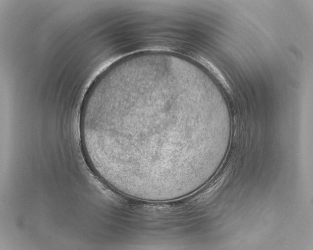 X0000115190939200911181445