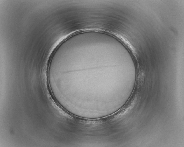 X0000115190941200911181445