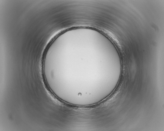 X0000115190942200911181445