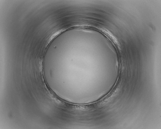 X0000115190945200911181445