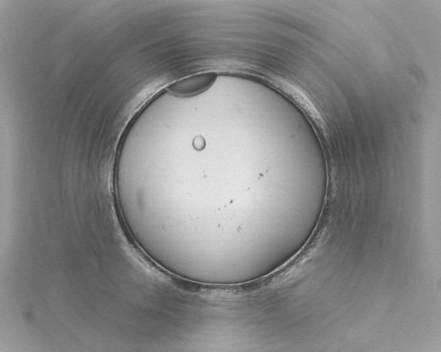 X0000115190946200911181445